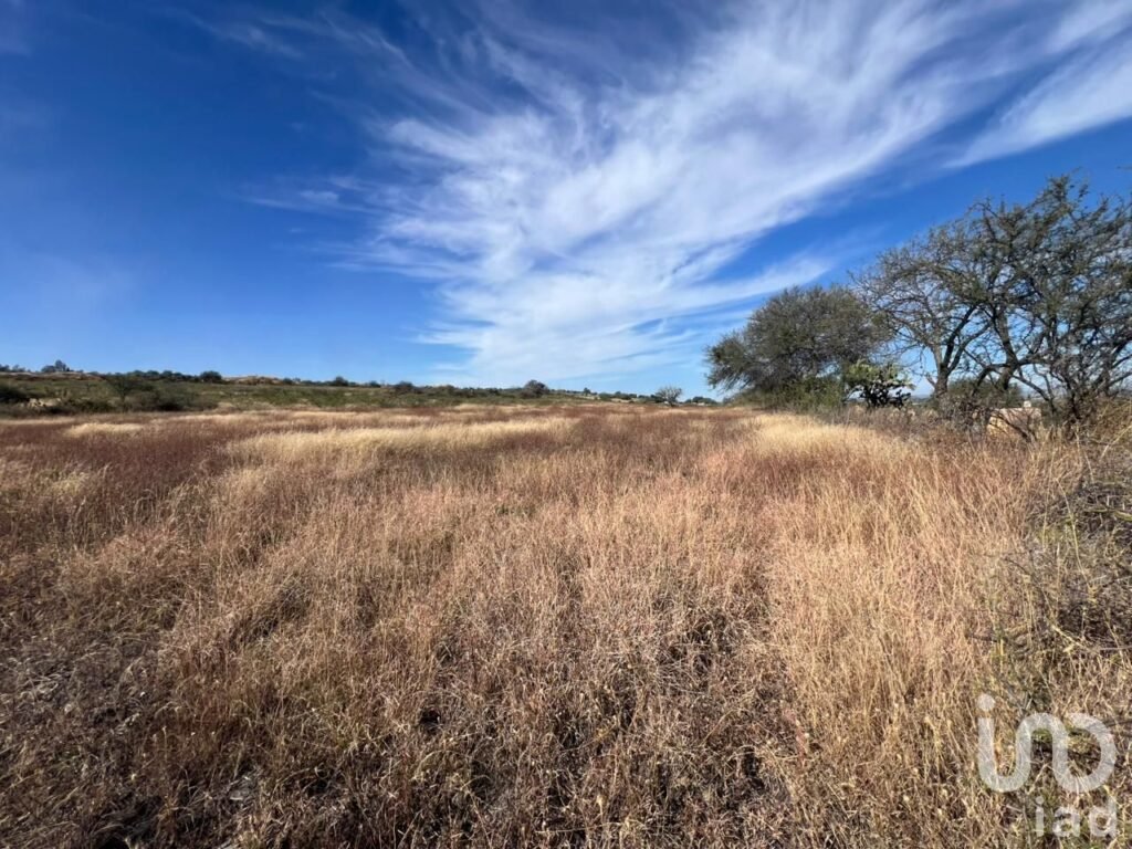 Terreno en Venta Rancho el Grande