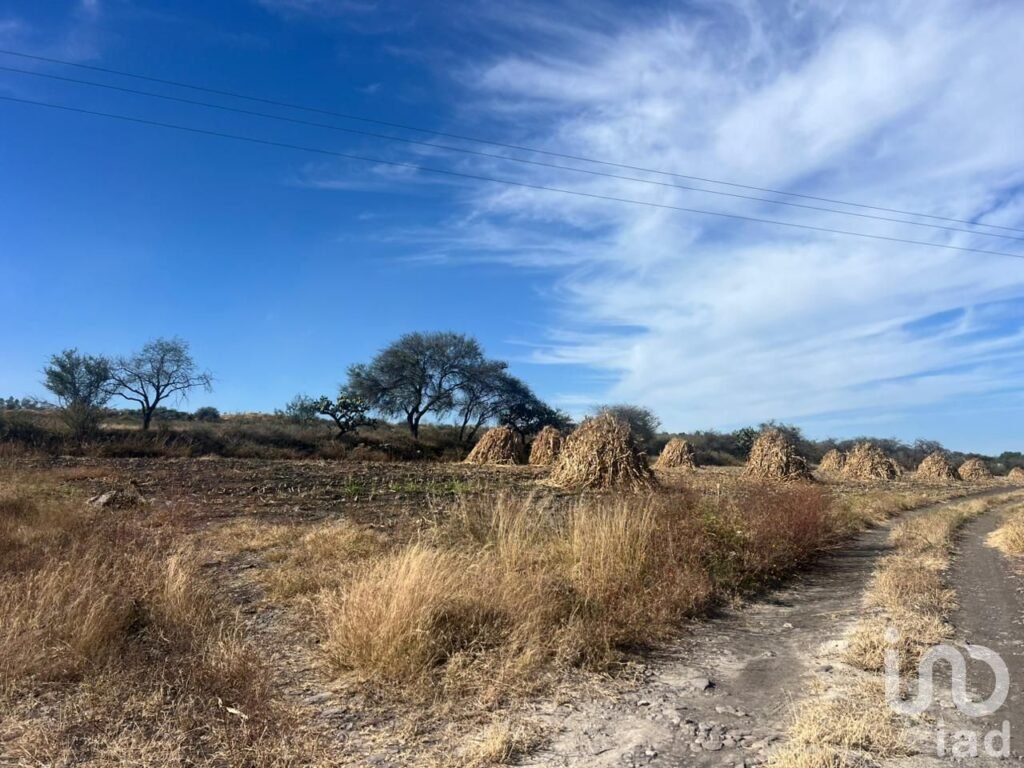 Terreno en Venta Rancho el Grande