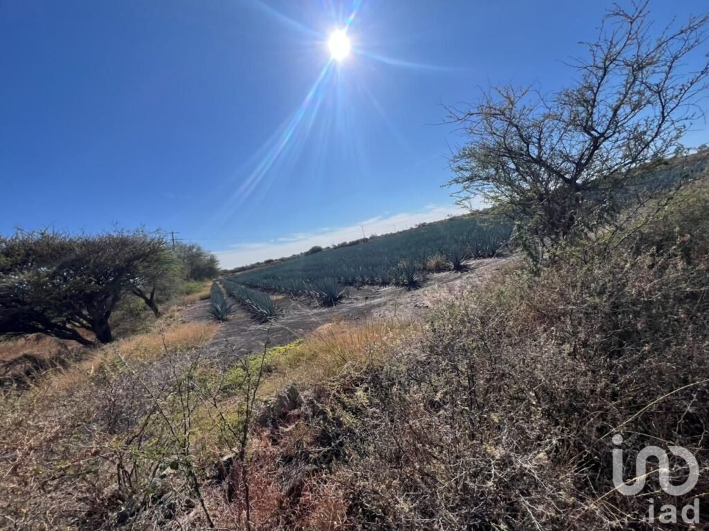 Terreno en Venta Rancho el Grande