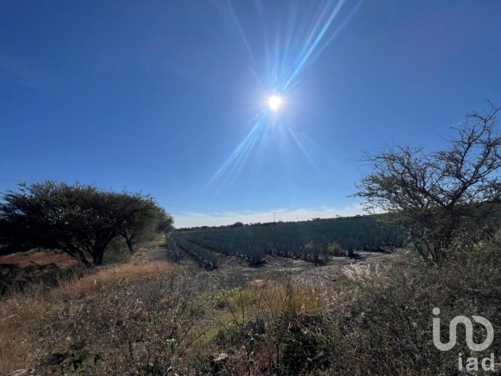 Terreno en Venta Rancho el Grande