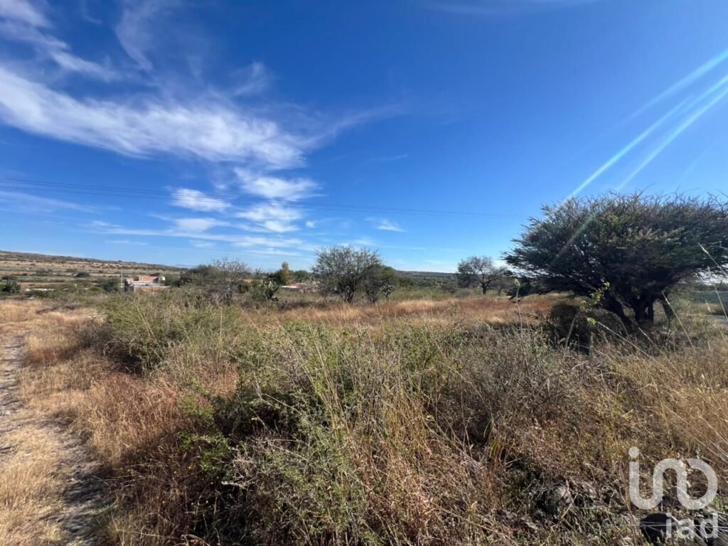 Terreno en Venta Rancho el Grande