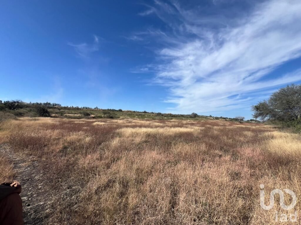 Terreno en Venta Rancho el Grande