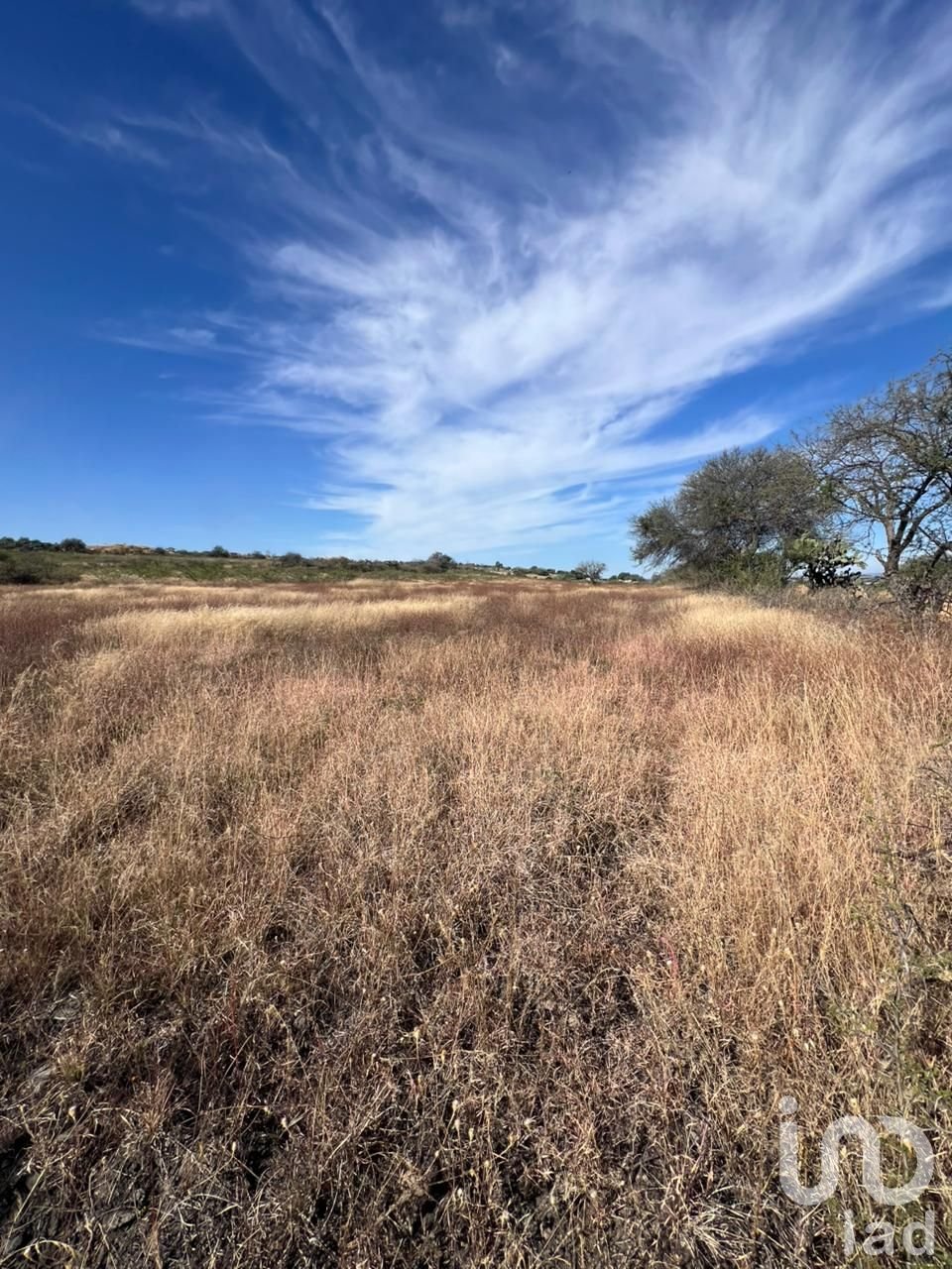 Terreno en Venta Rancho el Grande