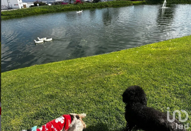 Terreno en Grand Juriquilla