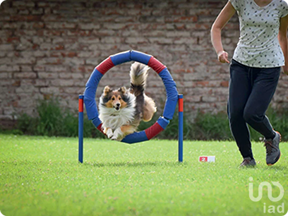 Casa nueva en fraccionamiento en Chalco, Estado de Mexico, Mod. Roma Plus 104m2