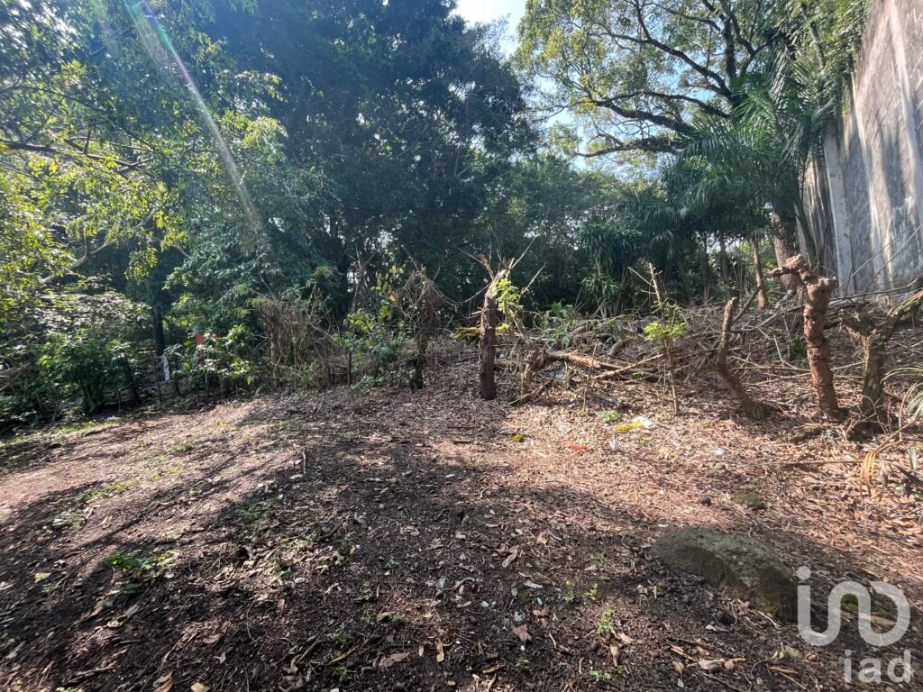 Terreno en venta a orilla del lago en Catemaco, Veracruz
