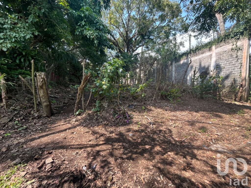 Terreno en venta a orilla del lago en Catemaco, Veracruz