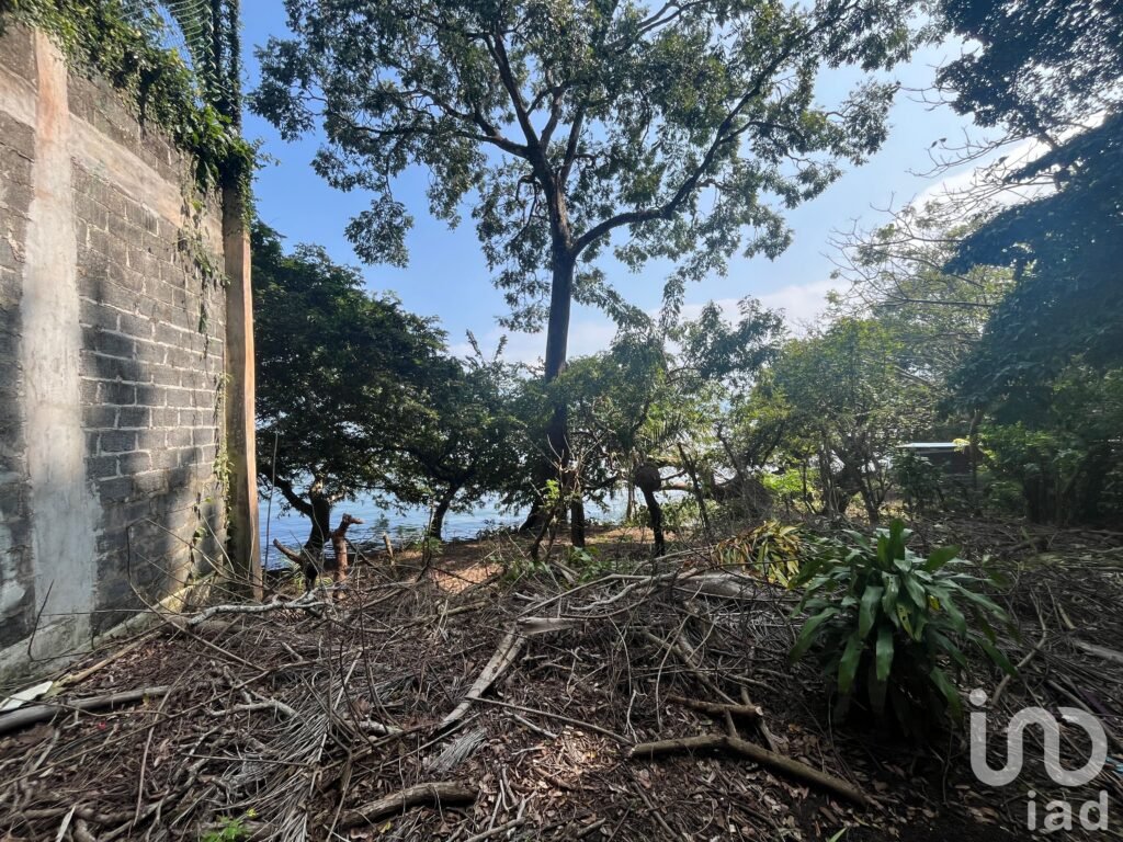 Terreno en venta a orilla del lago en Catemaco, Veracruz
