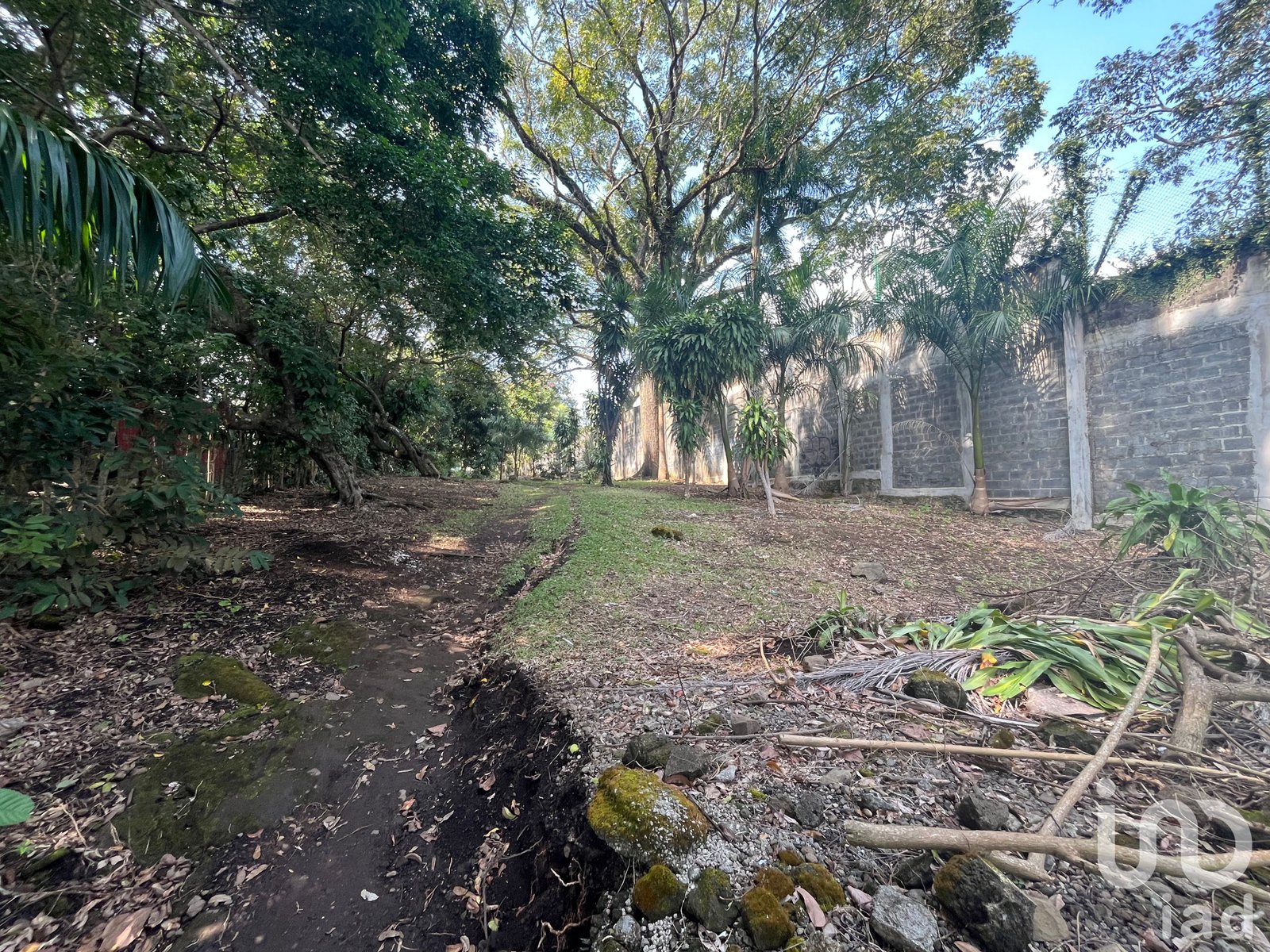 Terreno en venta a orilla del lago en Catemaco, Veracruz