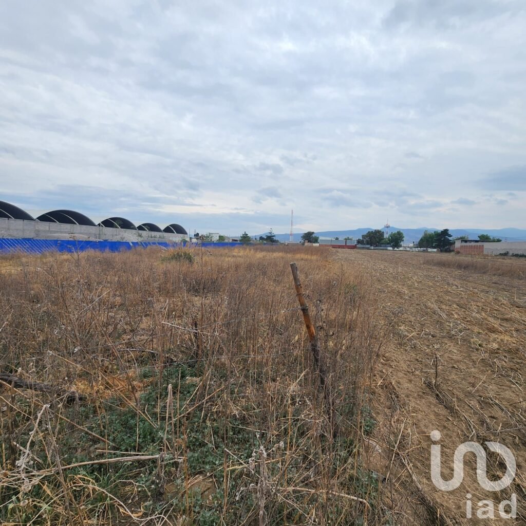 TERRENO INDUSTRIAL EN RENTA EN CHALCO EDO DE MEXICO