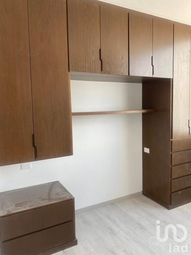 Cipreses Acadius Pre-Venta