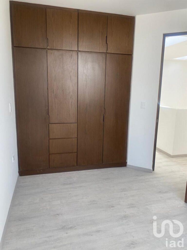 Cipreses Acadius Pre-Venta