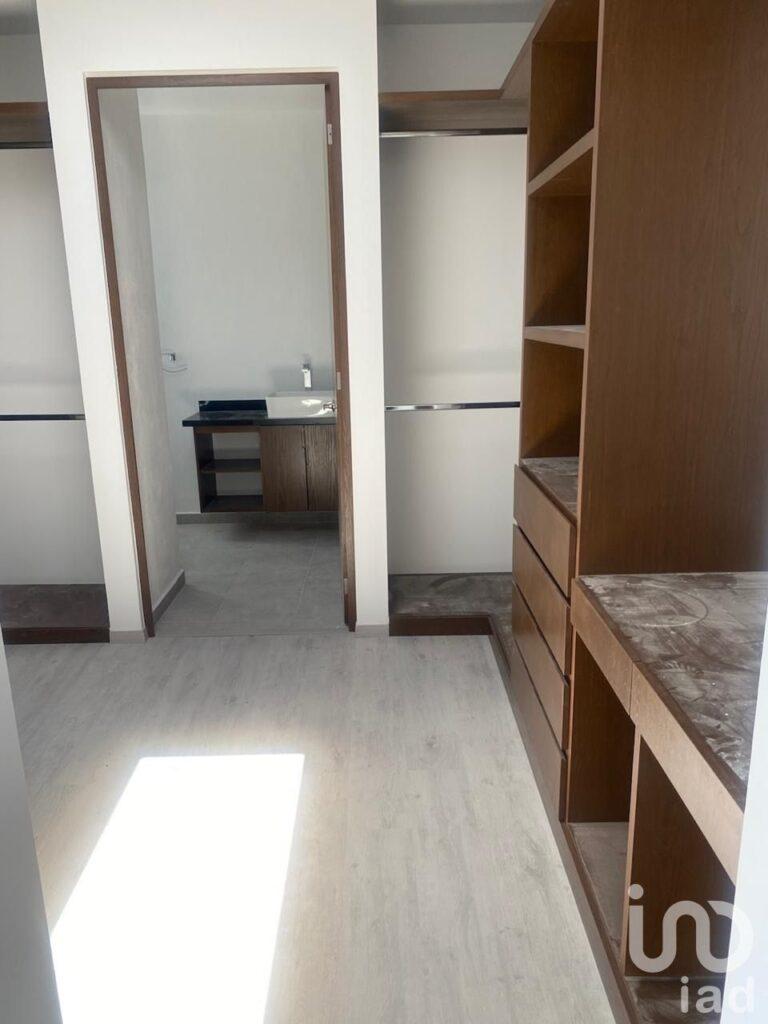 Cipreses Acadius Pre-Venta