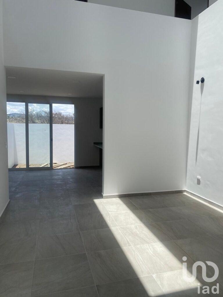 Cipreses Acadius Pre-Venta