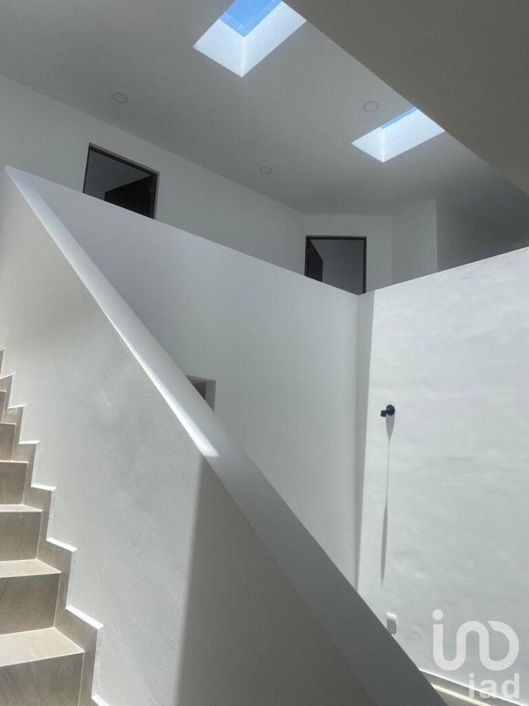 Cipreses Acadius Pre-Venta