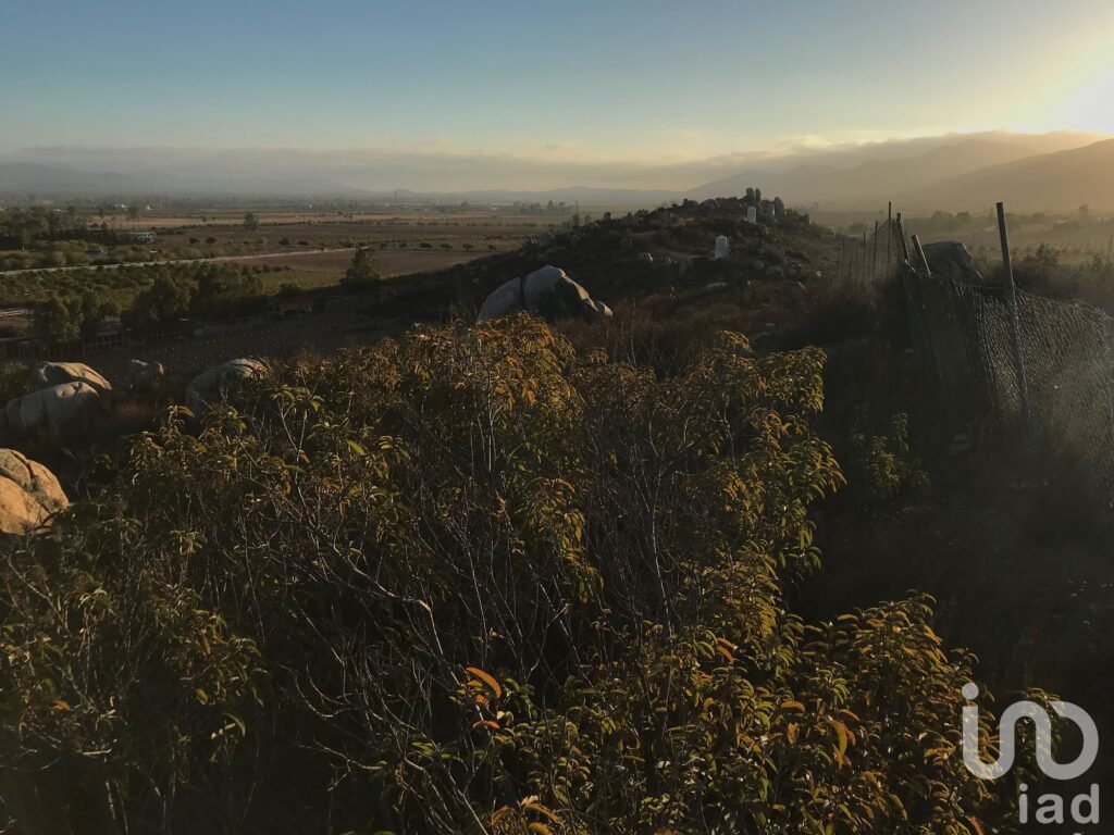 Terreno en Venta para proyecto vinícola en el Valle de Guadalupe, Baja California.