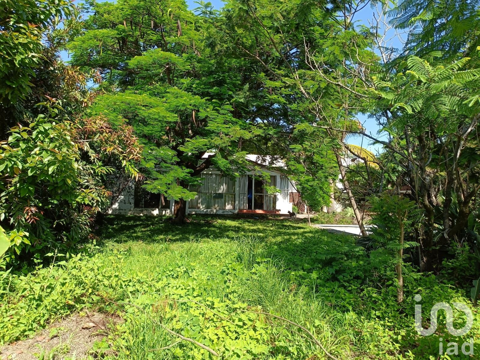 Terreno en zona céntrica ideal para proyecto de inversión