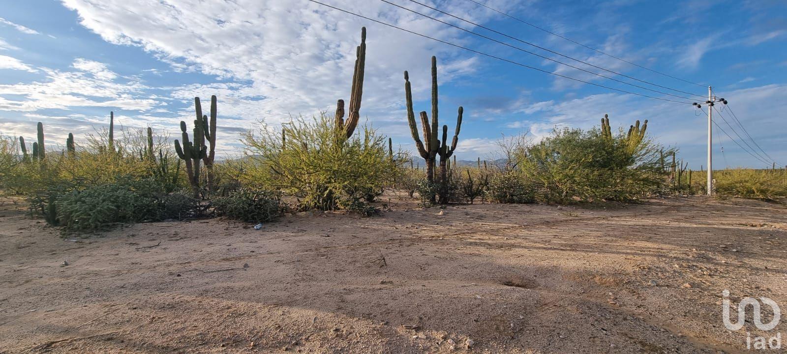 DOS HECTAREAS EN VENTA EN LA VENTANA A ORILLA DE CARRETERA DOS HECTAREAS EN VENTA EN LA VENTANA A ORILLA DE CARRETERA