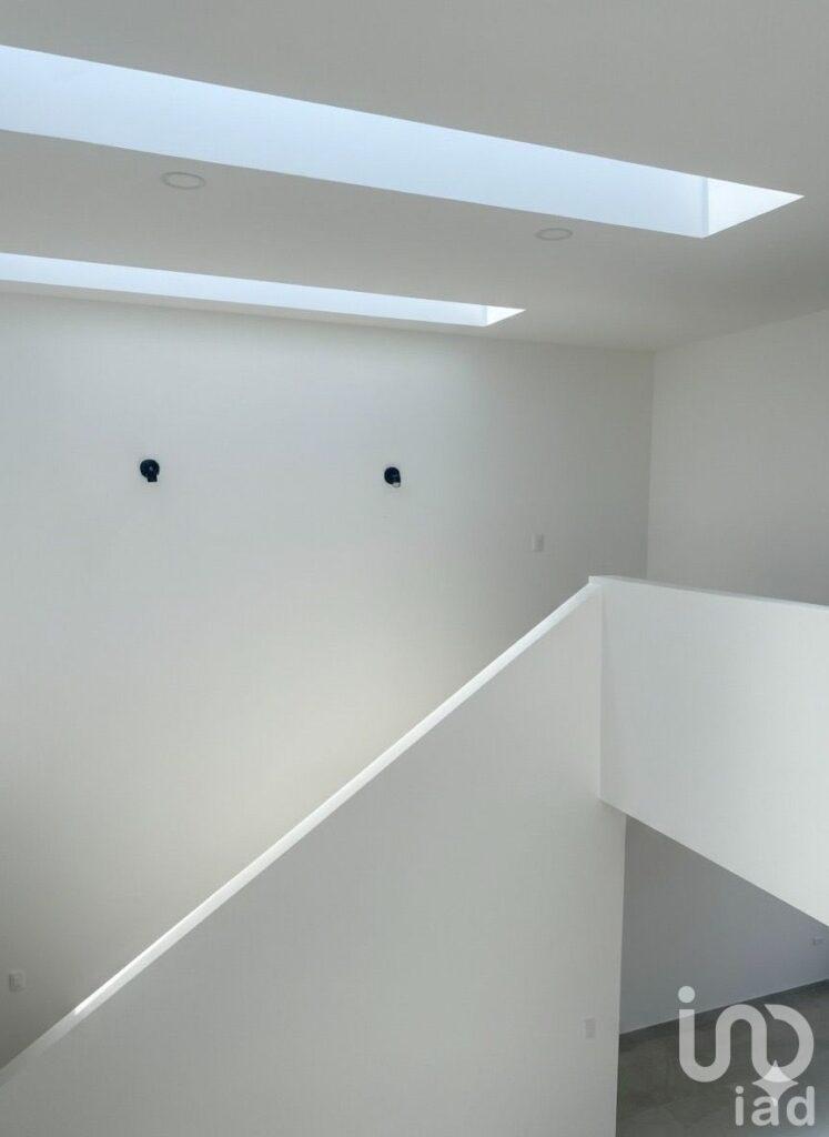 Cedro Farasi pre-venta