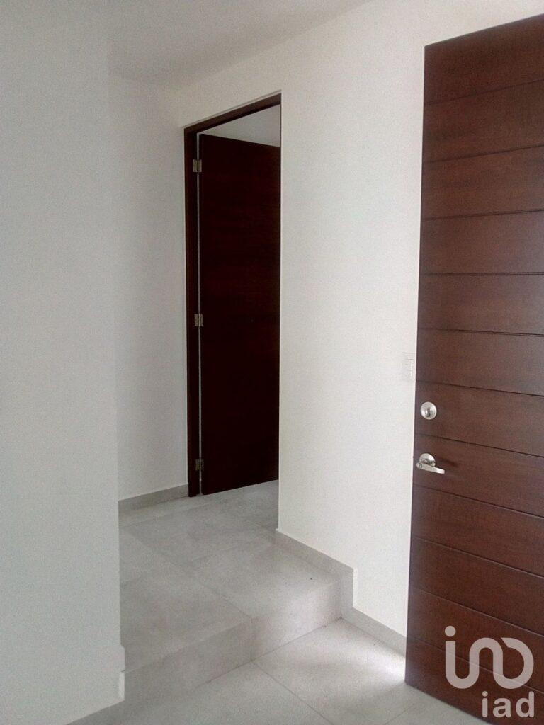 Cedro Farasi pre-venta