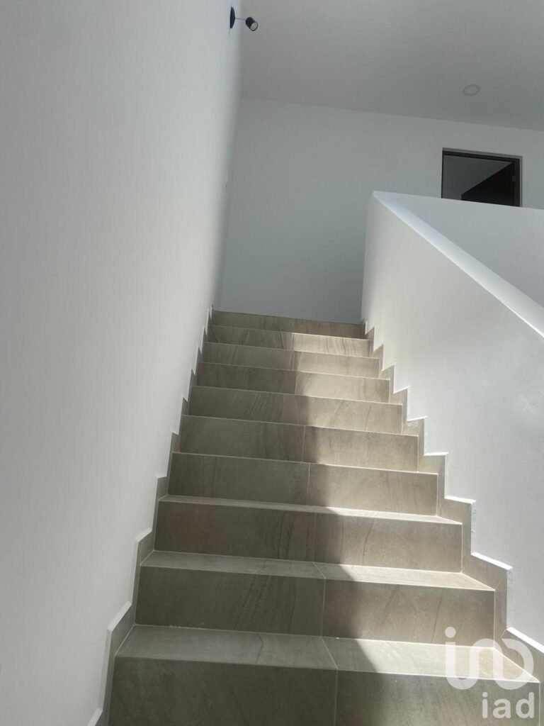 Casa Farasi Sauce  Preventa