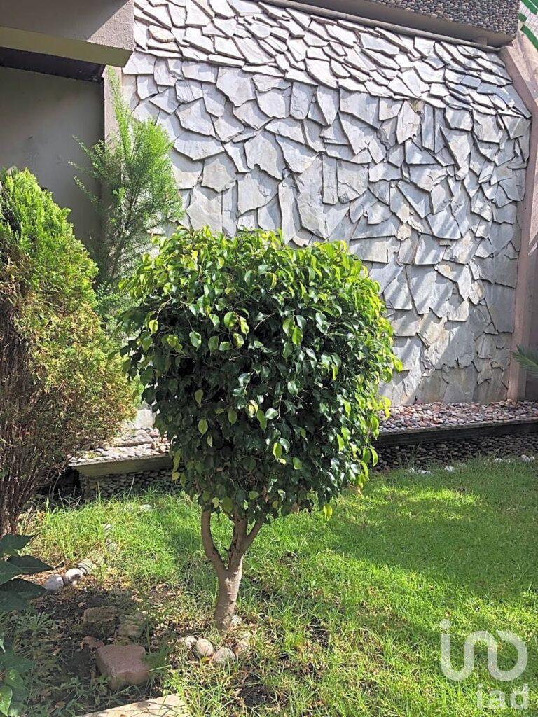 Casa en Paseos del Bosque Naucalpan