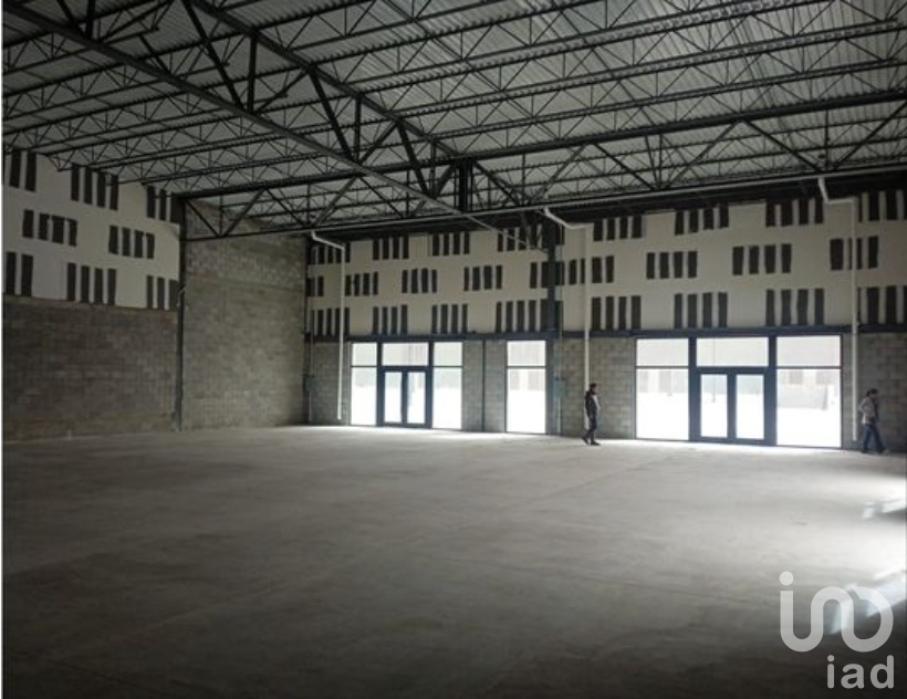 Locales en renta en Plaza Comercial en zona Las Torres