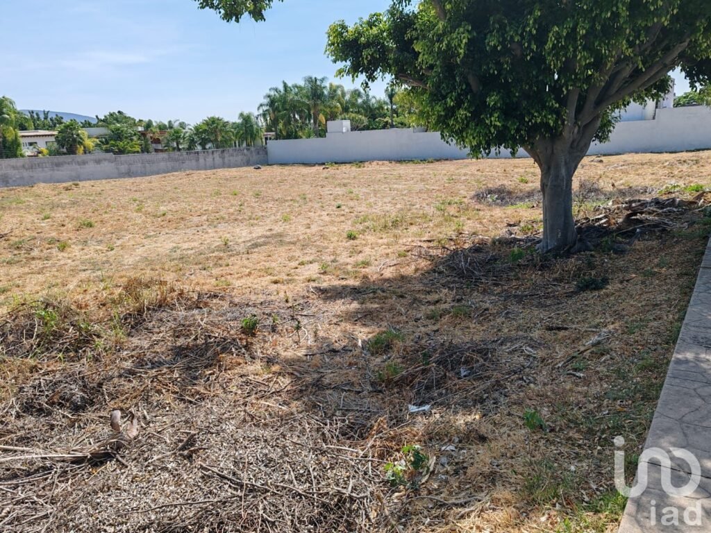 Terreno en Venta La Alfonsina Atlixco