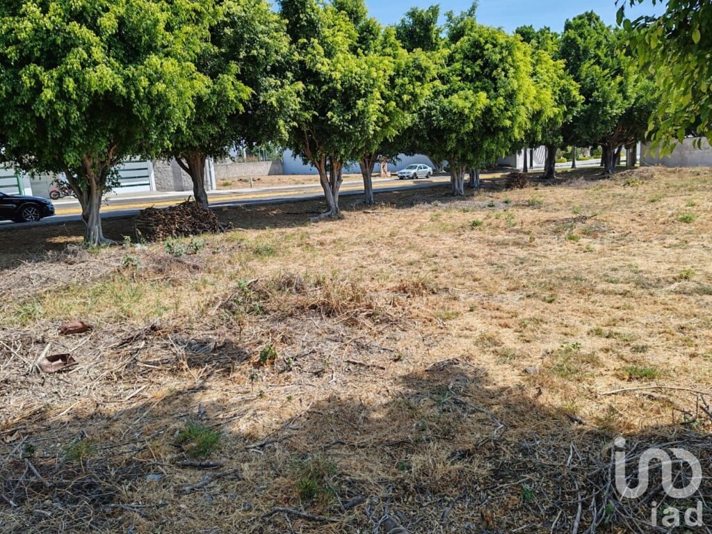 Terreno en Venta La Alfonsina Atlixco