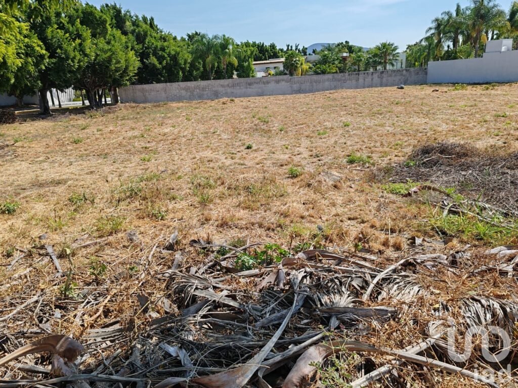 Terreno en Venta La Alfonsina Atlixco