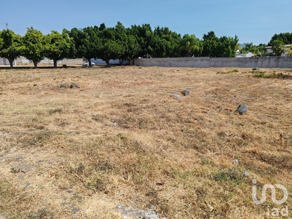 Terreno en Venta La Alfonsina Atlixco