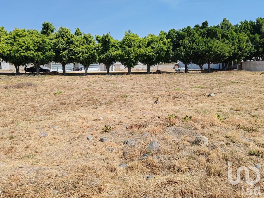 Terreno en Venta La Alfonsina Atlixco