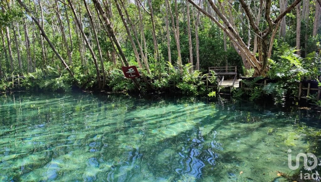 Terreno Residencial Eocológico Tulum Shiankaan para villas u hotelito