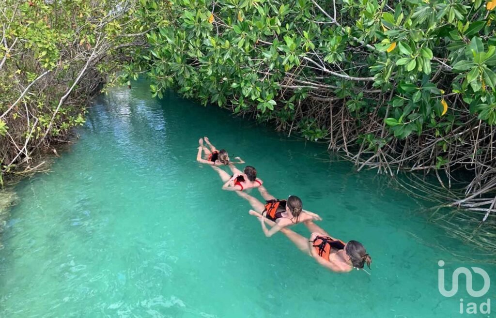 Terreno Residencial Eocológico Tulum Shiankaan para villas u hotelito