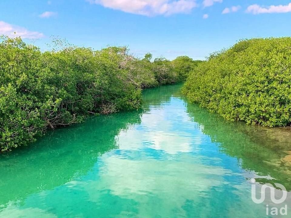 Terreno Residencial Eocológico Tulum Shiankaan para villas u hotelito