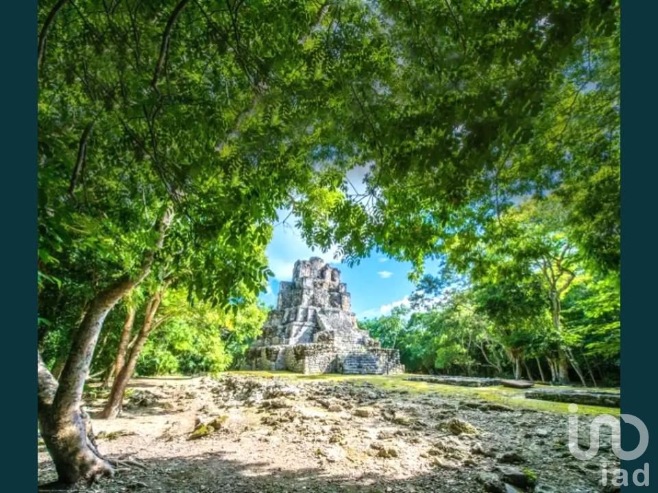 Terreno Residencial Eocológico Tulum Shiankaan para villas u hotelito