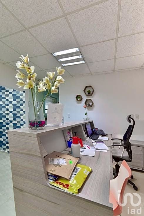 OFICINAS LLAVE EN MANO EDIFICIO PRIVADO AAA COLONIA DEL VALLE