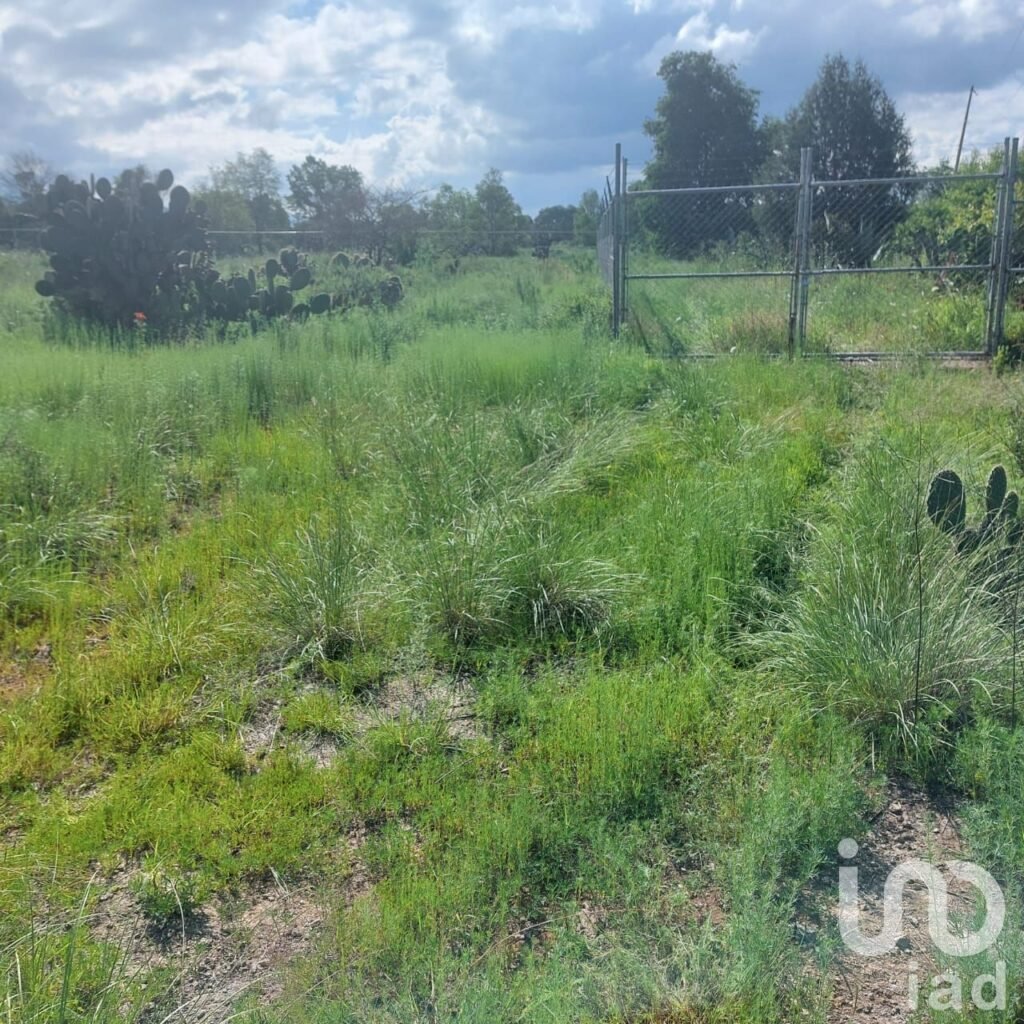 Excelente terreno de 3820 m2, para inversión en la Huasca de Ocampo, Hidalgo
