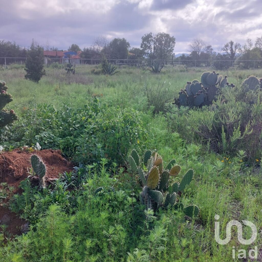Excelente terreno de 3820 m2, para inversión en la Huasca de Ocampo, Hidalgo