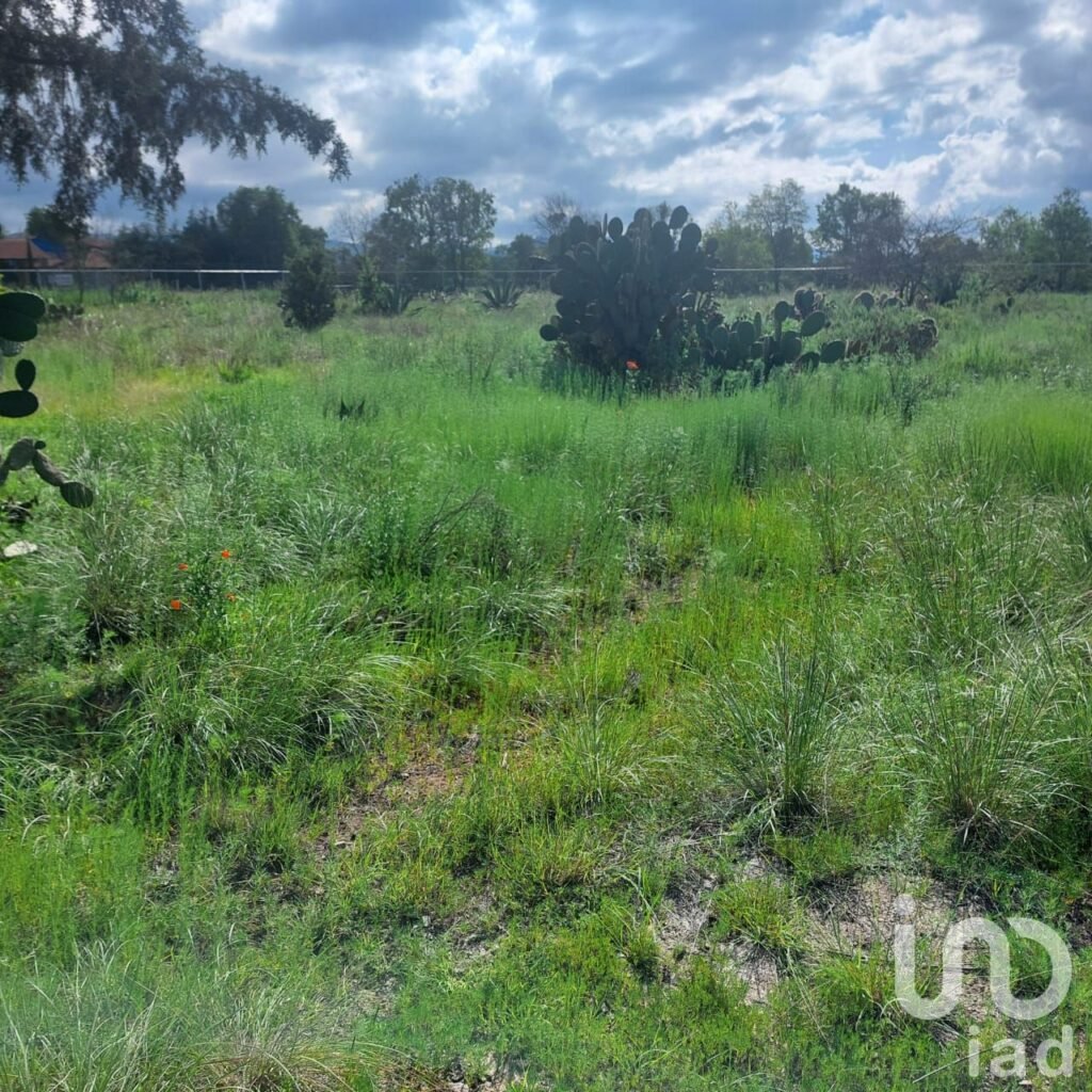 Excelente terreno de 3820 m2, para inversión en la Huasca de Ocampo, Hidalgo