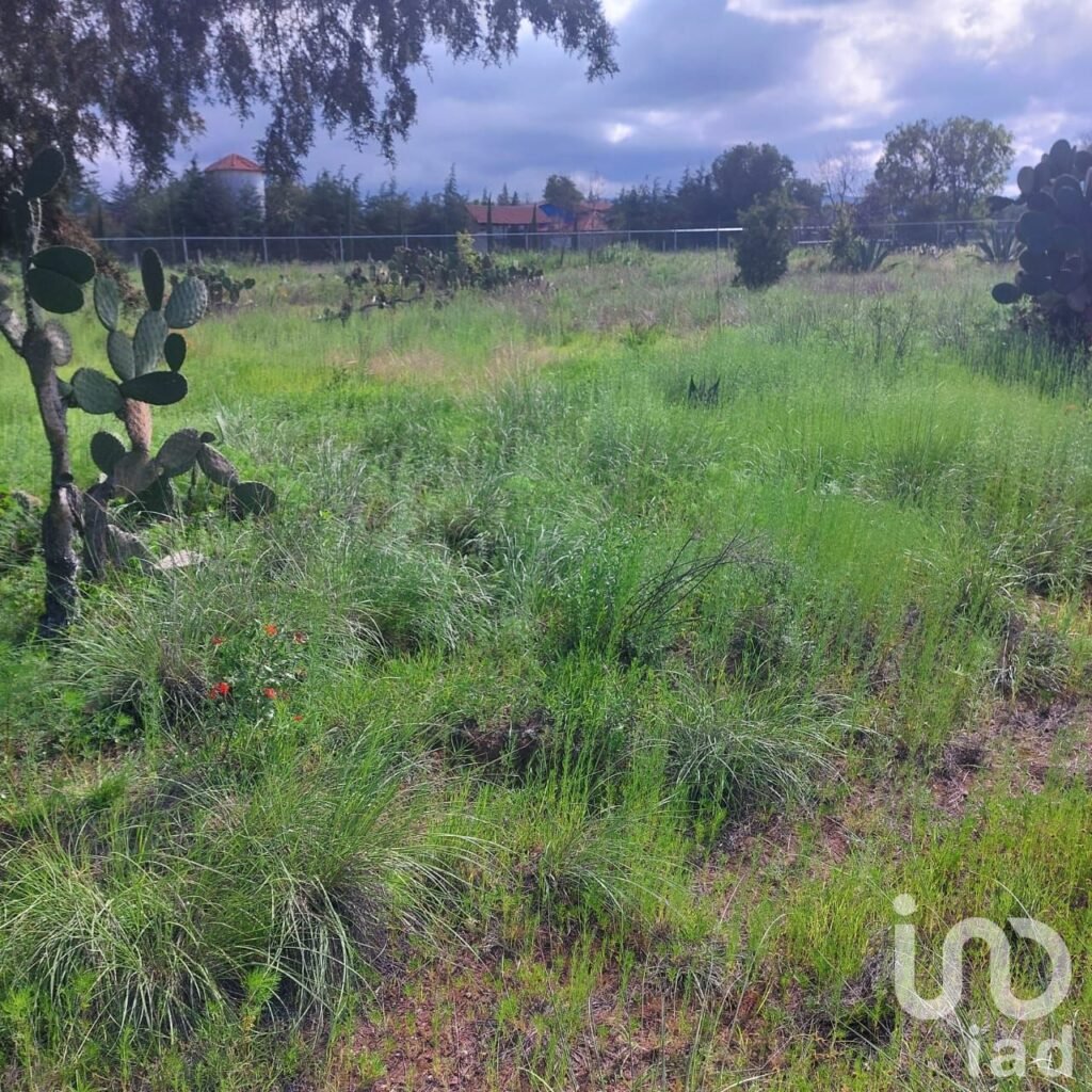 Excelente terreno de 3820 m2, para inversión en la Huasca de Ocampo, Hidalgo