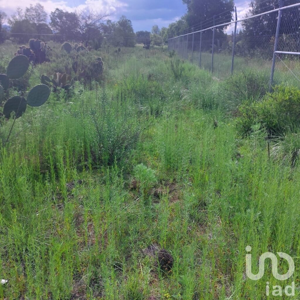 Excelente terreno de 3820 m2, para inversión en la Huasca de Ocampo, Hidalgo