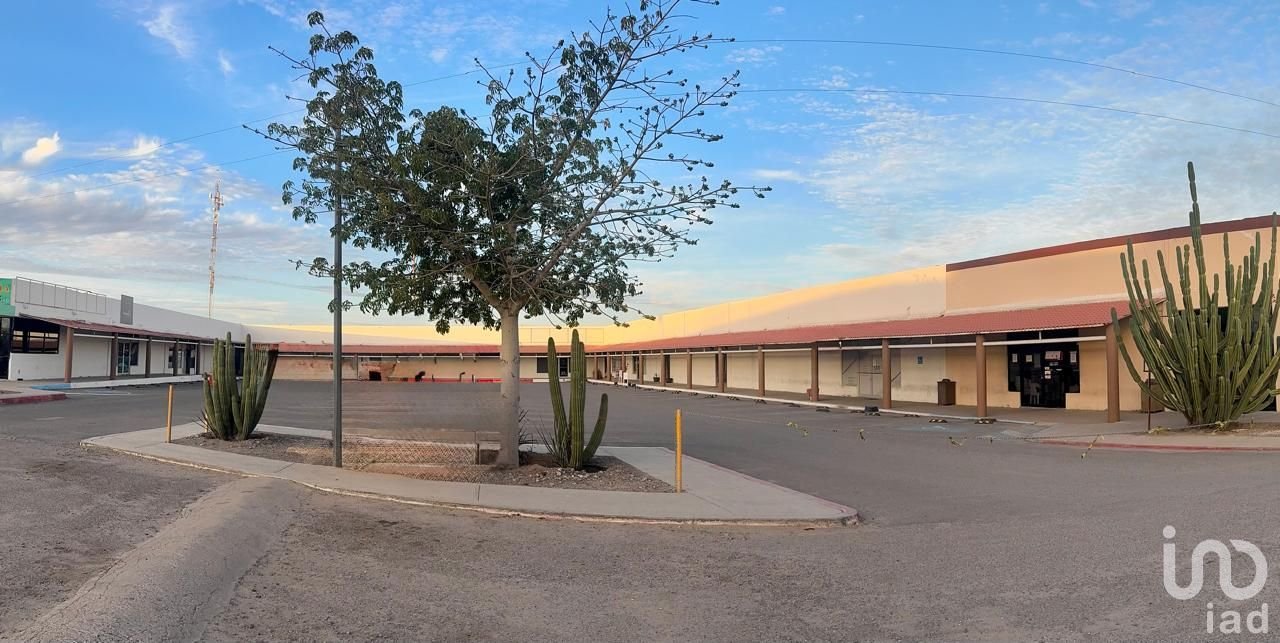 LOCALES EN RENTA – PLAZA COMERCIAL FUTURA LOCALES EN RENTA – PLAZA COMERCIAL FUTURA