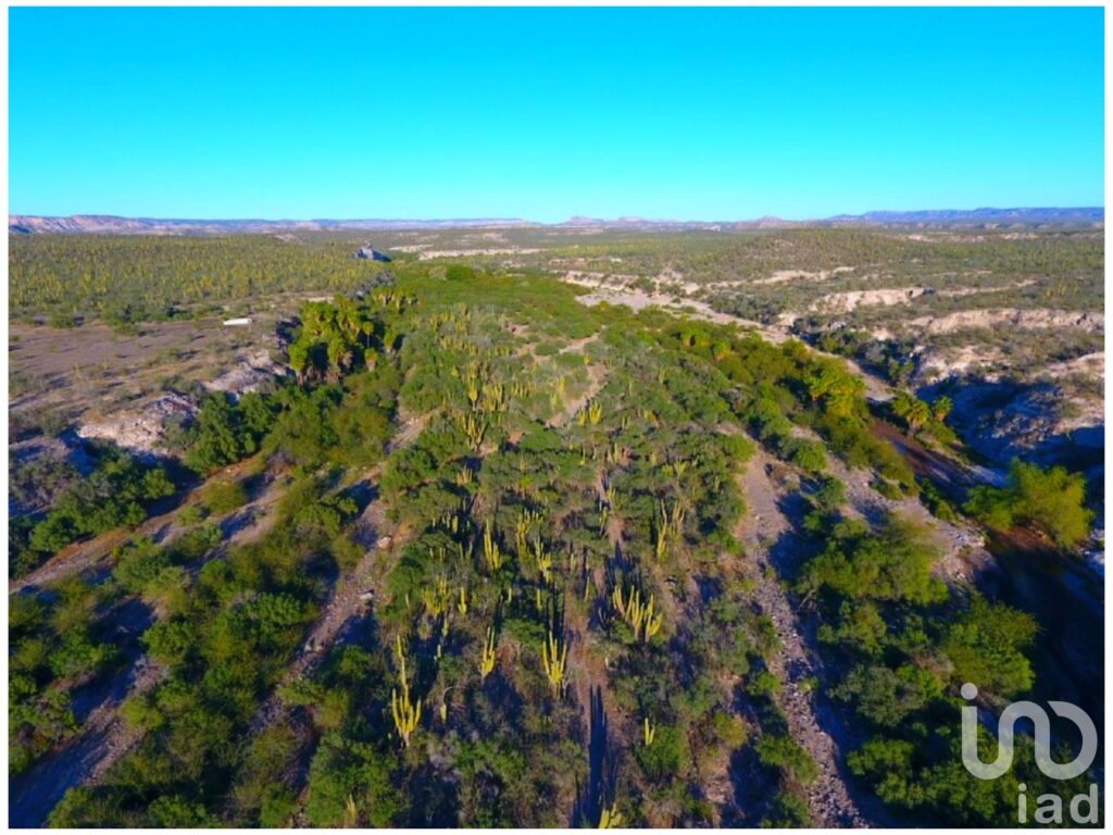 Se vende rancho al norte (km. 96) de la ciudad de La Paz, BCS