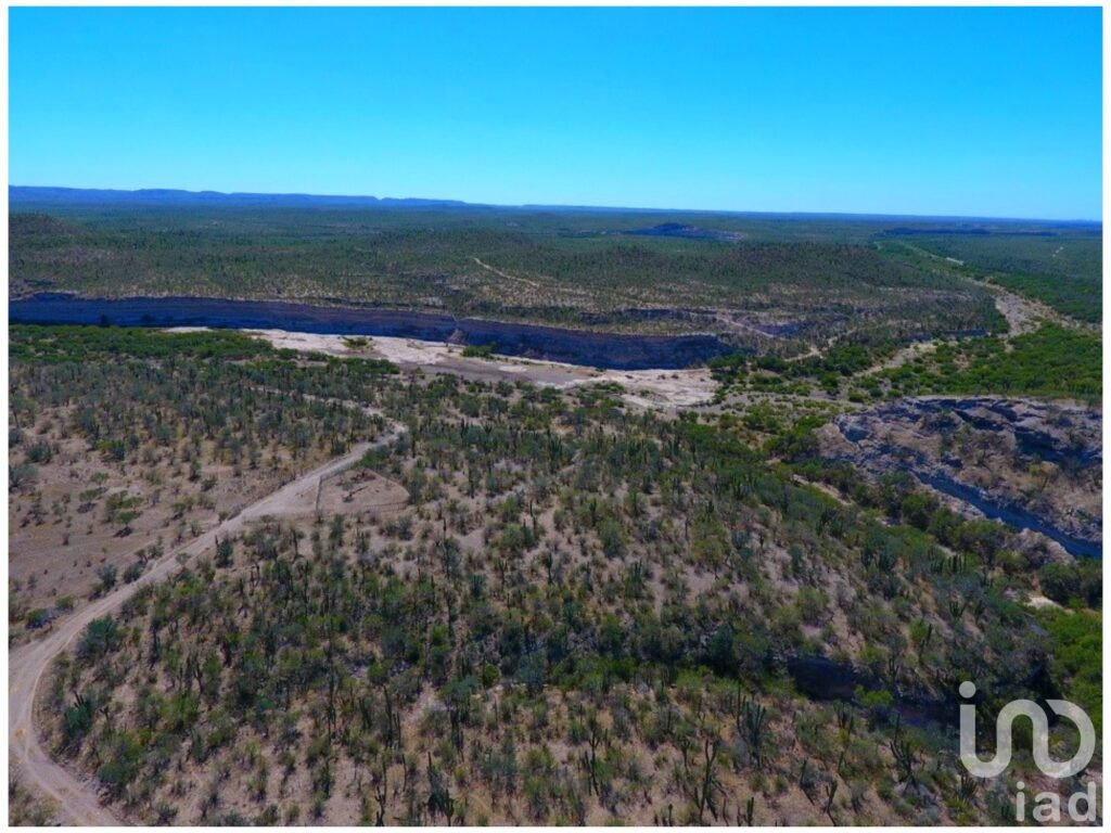 Se vende rancho al norte (km. 96) de la ciudad de La Paz, BCS