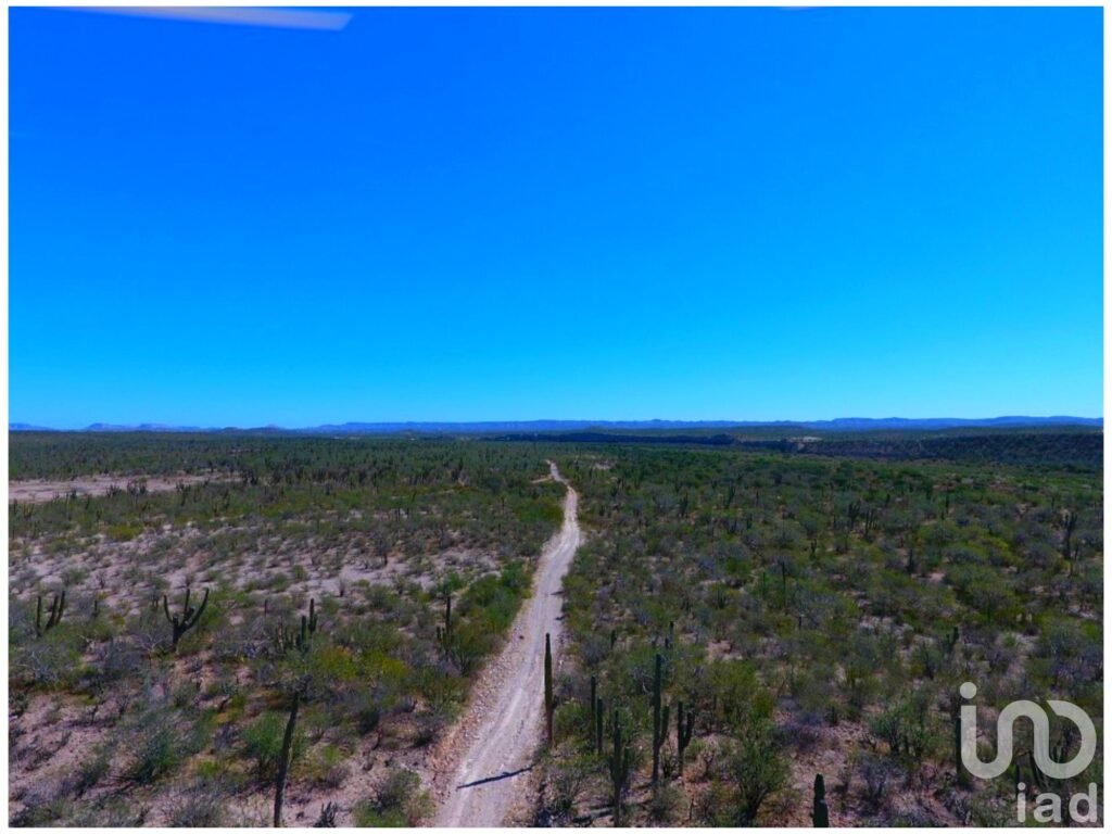 Se vende rancho al norte (km. 96) de la ciudad de La Paz, BCS