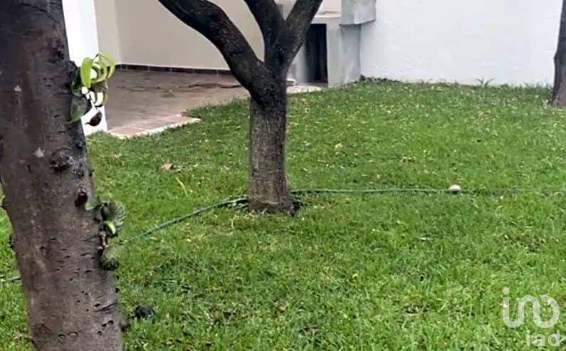 Amplia casa en Cuautla