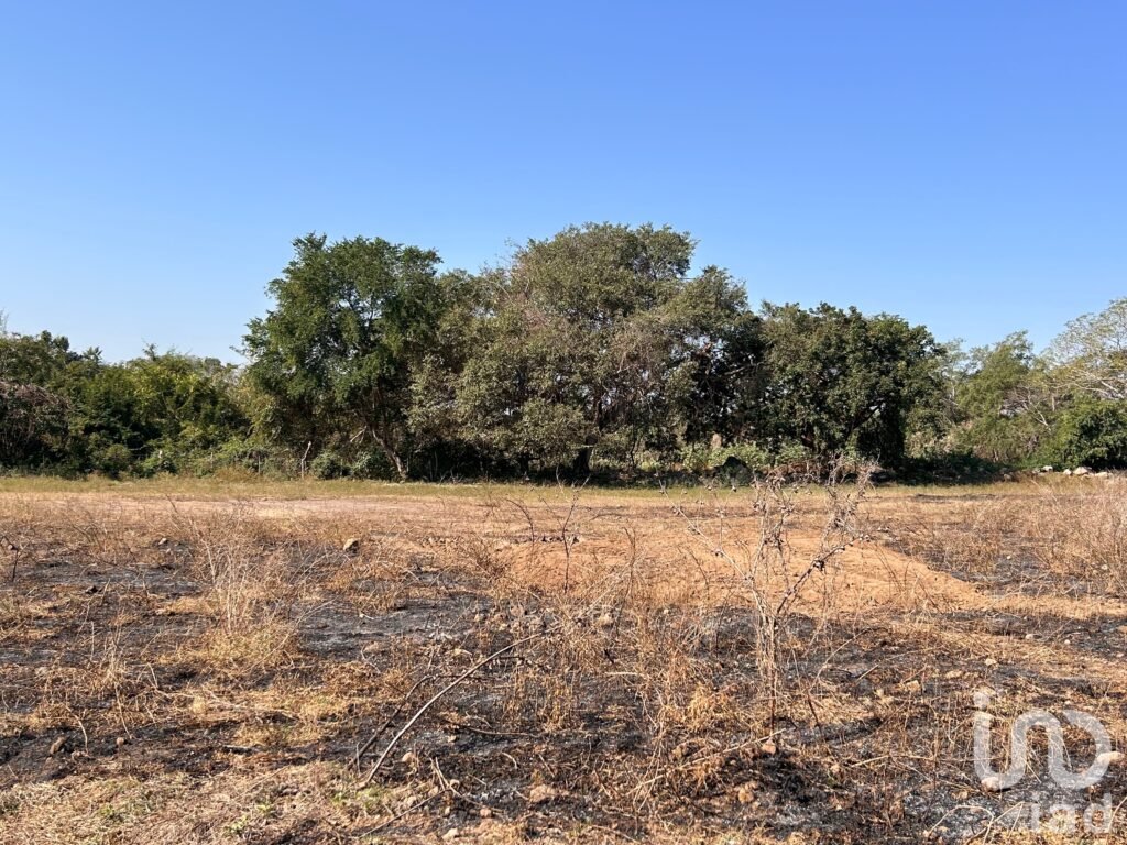 Terreno en venta en Pandora Luxury Condo en Colima en zona de alto valor comercial - 2324933 terreno en venta terreno en venta en pandora luxury condo en colima en zona de alto valor comercial 287795