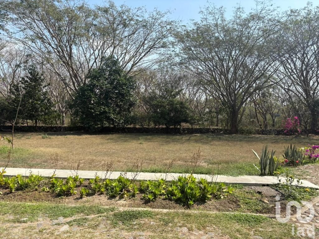 TERRENO EN VENTA CON VARIEDAD DE VEGETACIÓN TROPICAL EN COMALA, NOGUERAS, COLIMA.