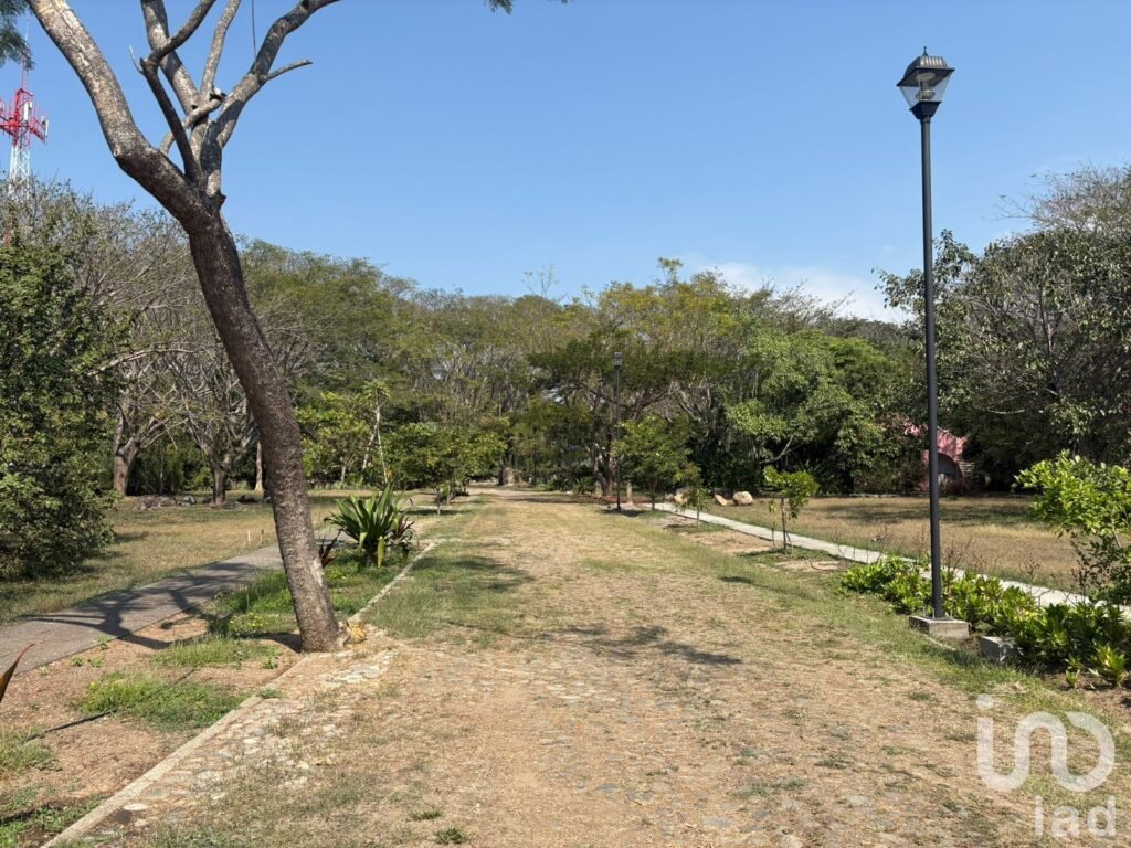 TERRENO EN VENTA CON VARIEDAD DE VEGETACIÓN TROPICAL EN COMALA, NOGUERAS, COLIMA.